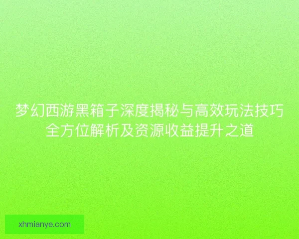 梦幻西游黑箱子深度揭秘与高效玩法技巧全方位解析及资源收益提升之道